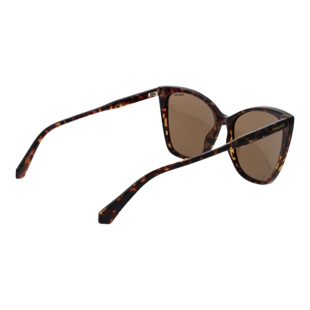 Polaroid Brown Polycarbonate Sunglasses