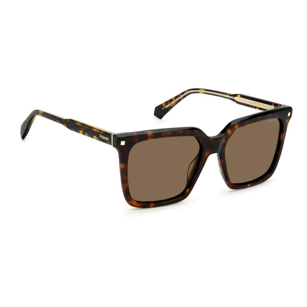 Polaroid – Braune Acetat-Sonnenbrille