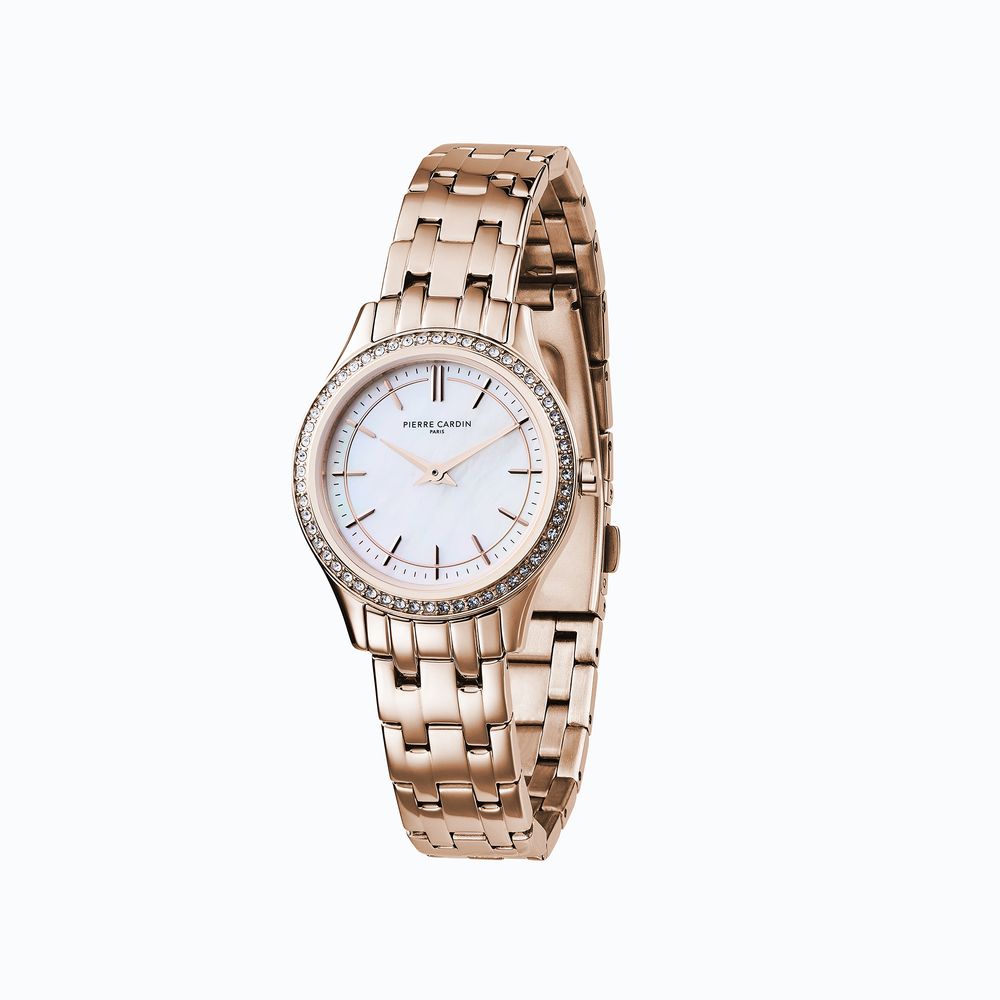 Pierre Cardin Multicolor Stainless Steel Dress Watch
