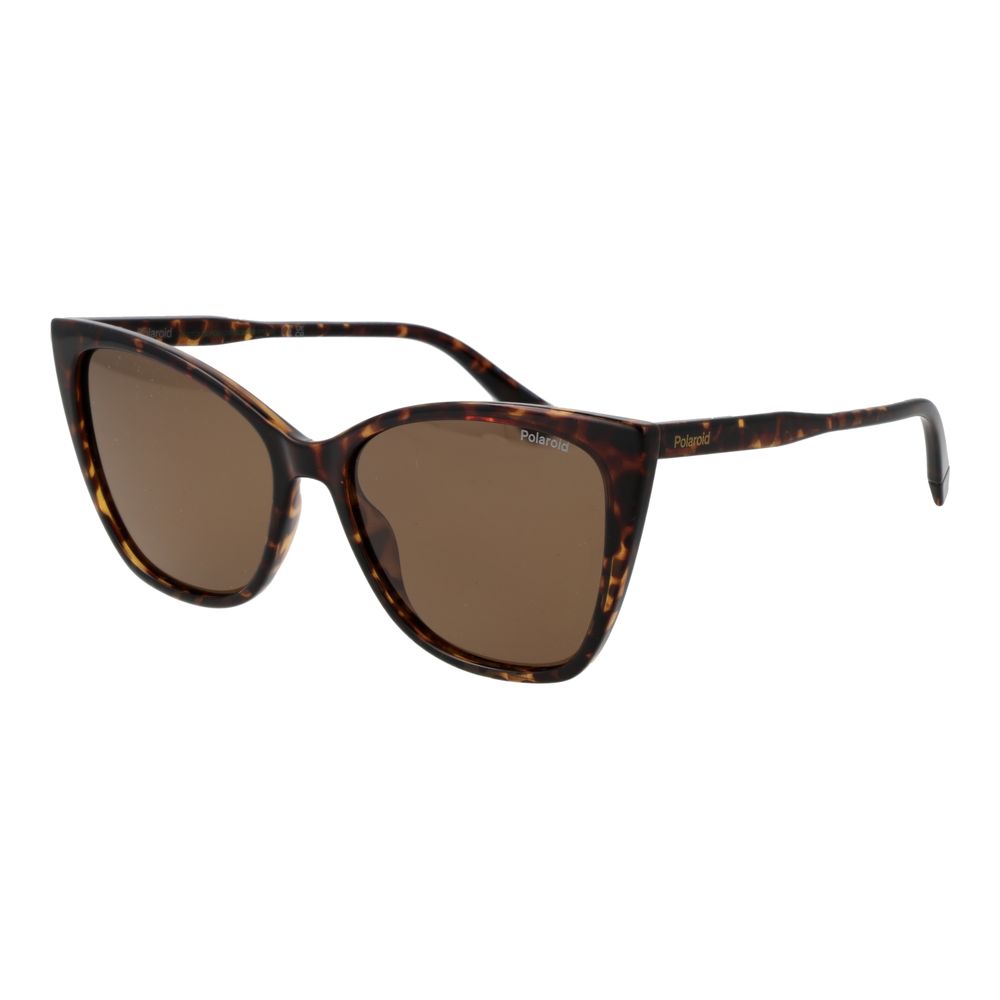 Polaroid Brown Polycarbonate Sunglasses