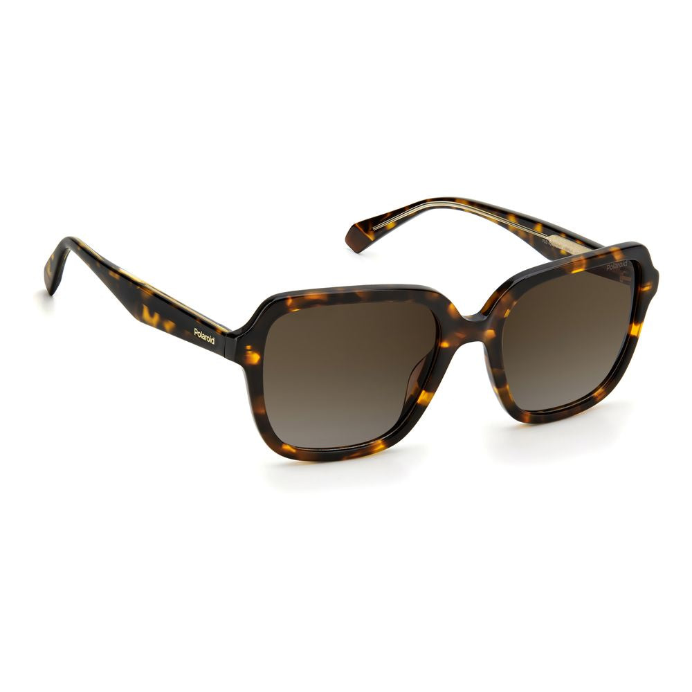 Polaroid – Braune Acetat-Sonnenbrille