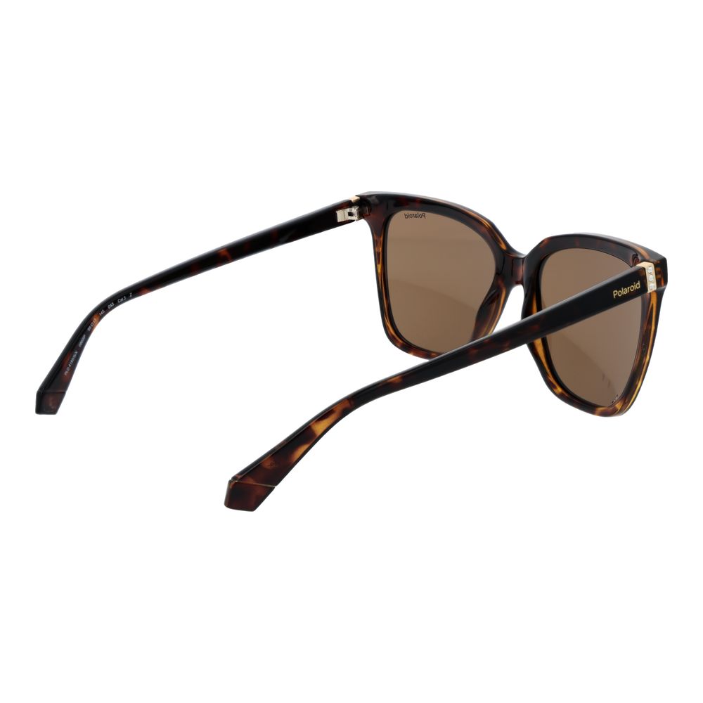Polaroid Brown Polycarbonate Sunglasses